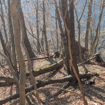 この脚立はなんなんだろうな?