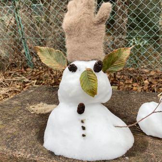 何に見えるかな？〜😕