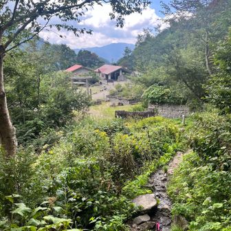 やっと別当出合の登山口に到着
この間、「どうやって下りればいいんだ？」と思うような急降下箇所が2.3ありました

ここからまたシャトルバス、金沢行きのバス🚌と乗り継いで無事終了でした🤗