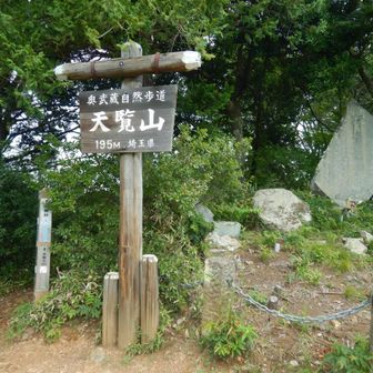 天覧山ハイカー多い
