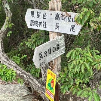 今日は馬の背には行きません。