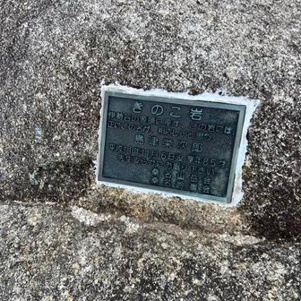 説明プレート🐜