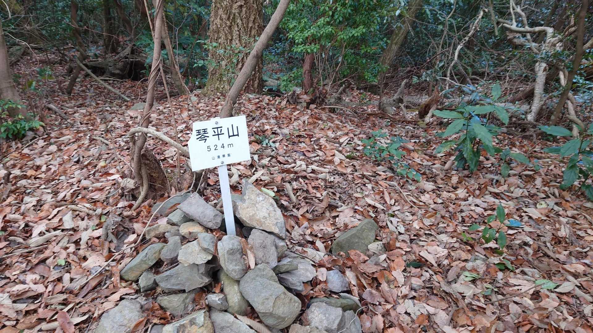 琴平山に登頂🗻🏁
前回、大分手前で入って草をかき分けた際、小指の爪くらいのマダニがズボンに噛みついてた因縁の場所😅