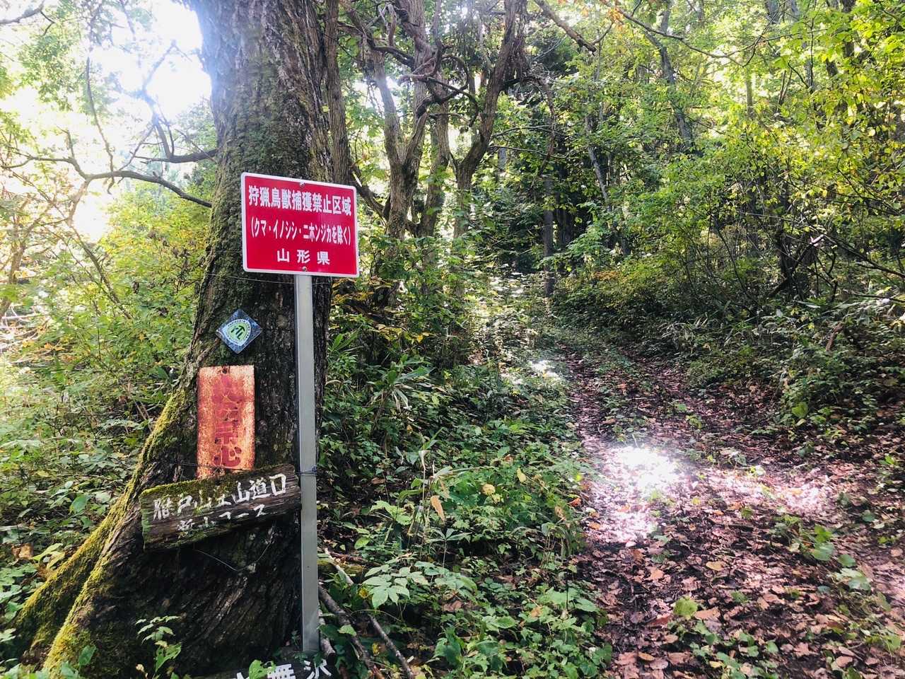 心のふるさとの山、雁戸山へ、いろいろあって今期初登山。今日は初めての新山(滑川)コースからだ