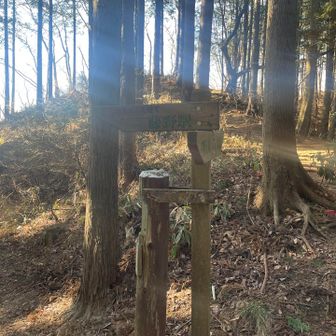 奈良子峠。ここから下山します。
陣馬山山頂まで1.5キロ