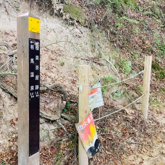 おぉ！
氷瀑で有名な百間滝への分岐だ👀
ここまで結構登ってこなくちゃいけないんだね💦

機会があれば一度くらい百間滝の氷瀑を見てみたい🤔

だとしても場所の確認・下見はもう少し寒くなってからにする・・・
この季節は🐍が怖いもん😱