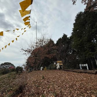 のんびり過ごせそうな山頂