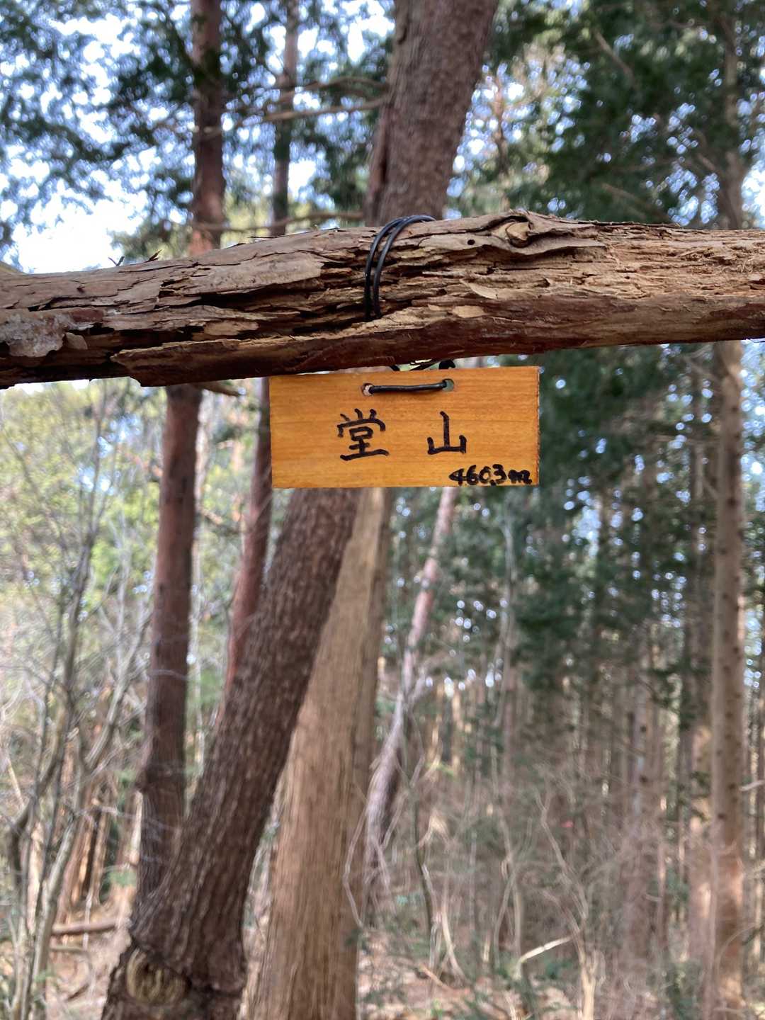 堂山頂上