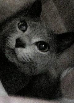 さとし丸