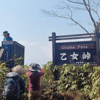 乙女峠はいつも人だかり