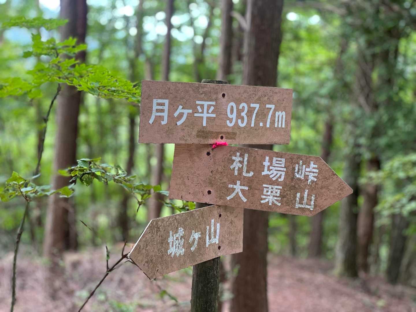 月ヶ平