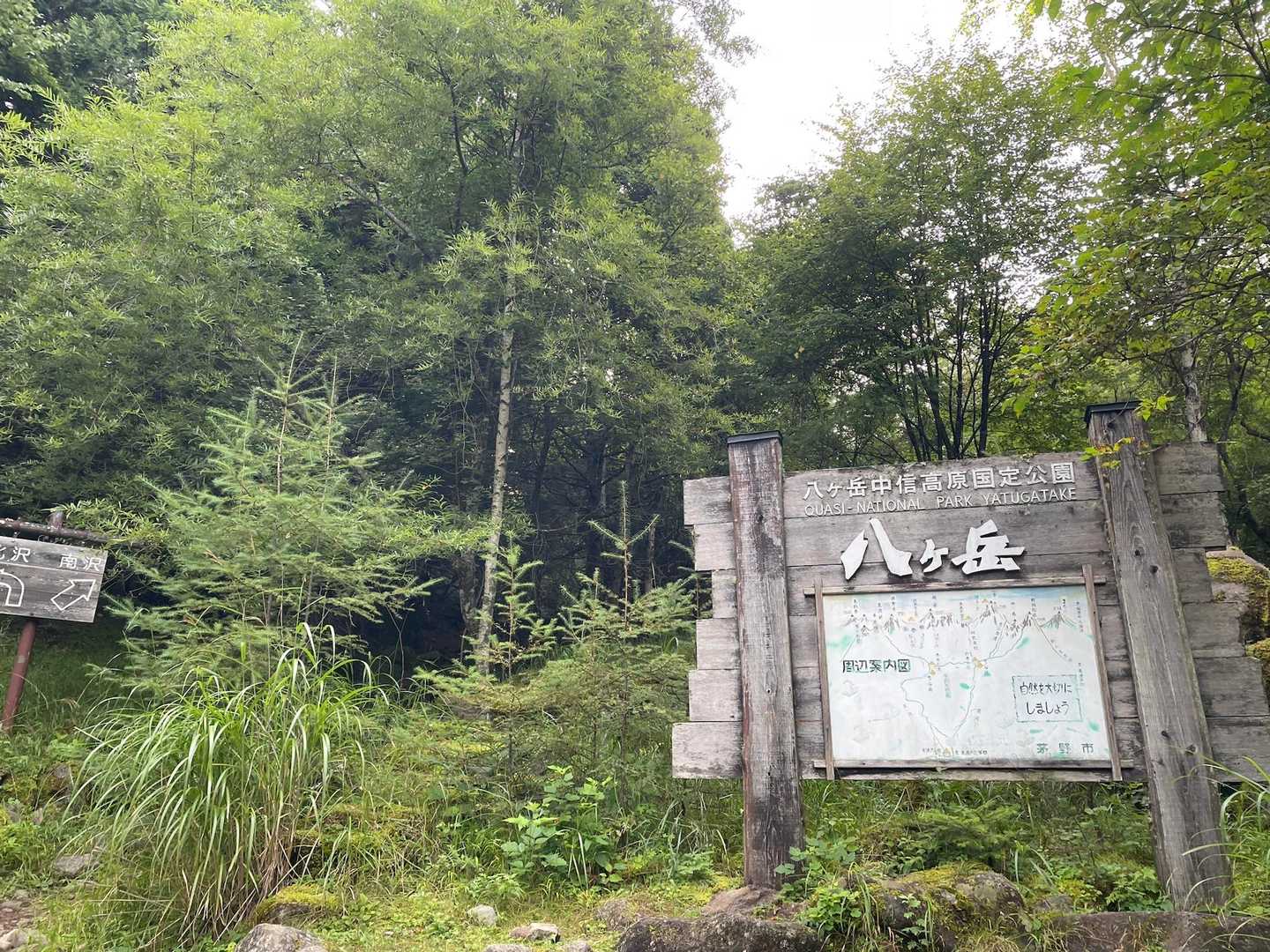 南沢から