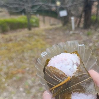 桜餅🌸
葉っぱはもちろん食べる派😋
美味しかった～✨