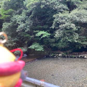 多度峡の天然プールまで降りてきました。
見ているだけでも涼しい！