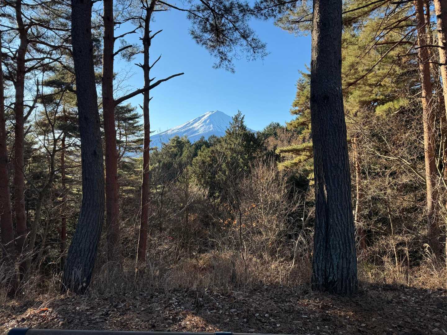 道の駅 かつやま-羽根子山遊歩道入口-羽根子山-段和山-足 往復コースの写真