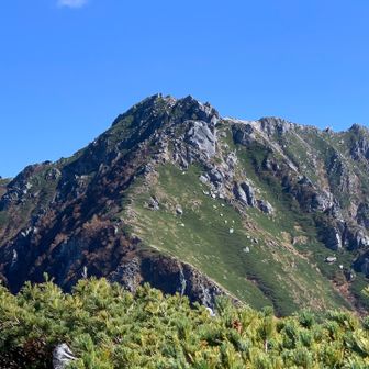 木曽殿山荘に向けて下山を始めると、対面に空木岳へ連なる登山道が見える(ハイマツ上部に右下から一旦左上へ登り、画面中央を上へと登る道)