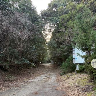 この奥にも車で入れそうな感じ