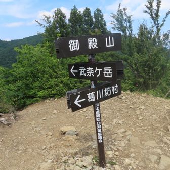 再び御殿山へ