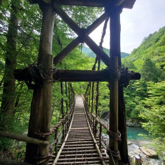 ワイヤー補強はあれど、凄く立派