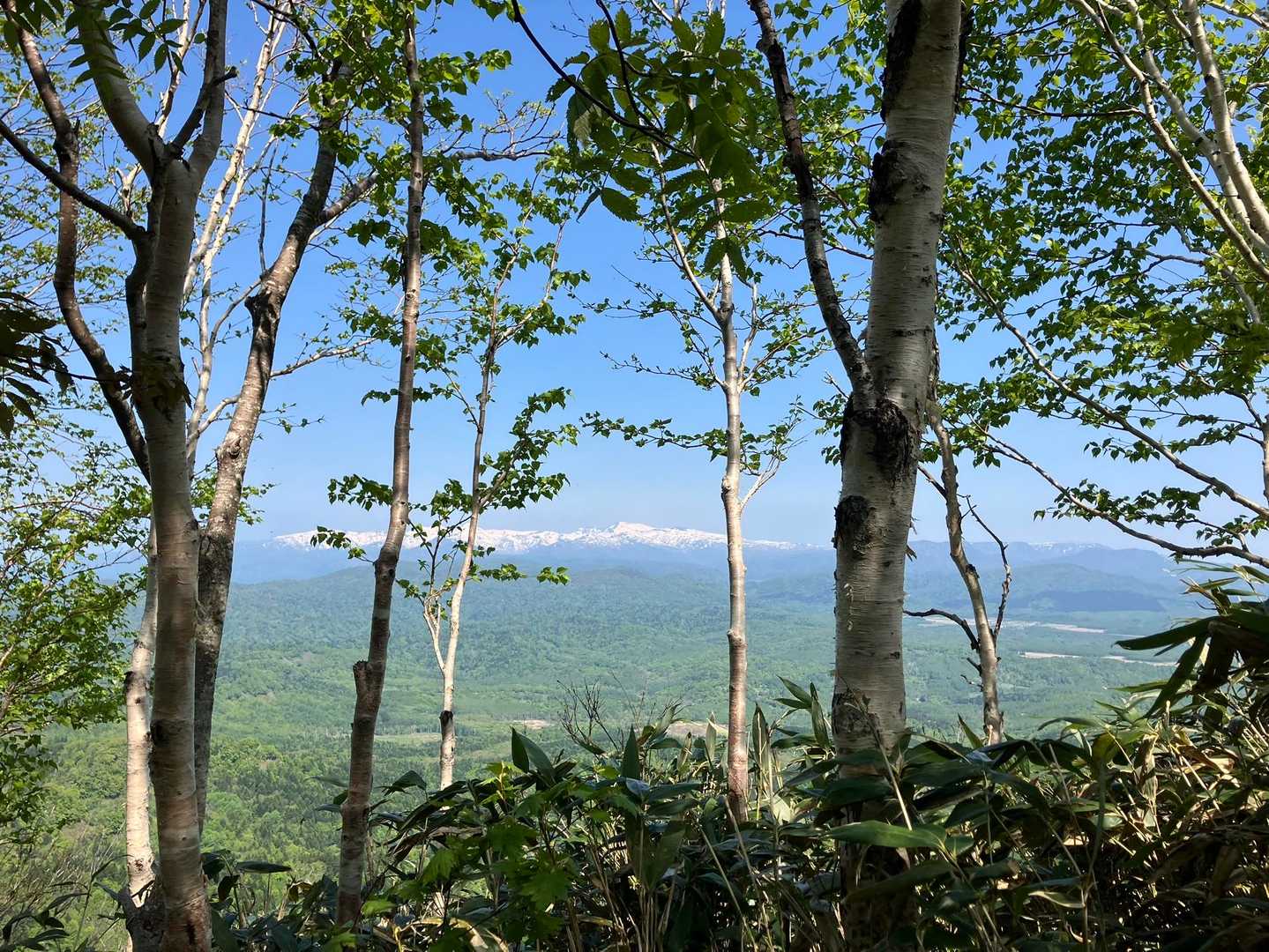 Aコース登山口-神居尻山-開拓台-Cコース登山口 縦走コースの写真