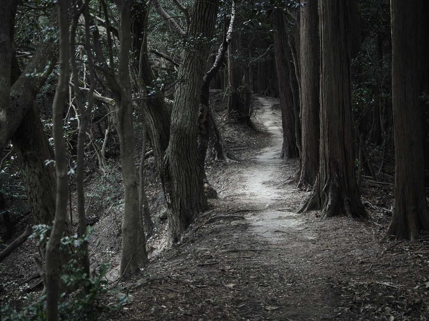 とても快適な道でした