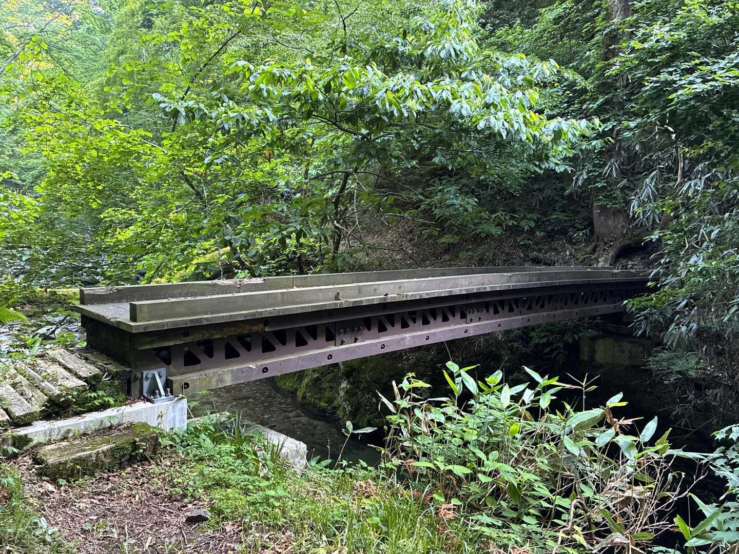 昨年完成した橋🆕
