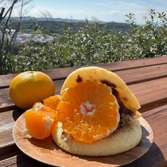 ドトールのお餅入りどら焼きにみかんトッピングしました！多分、ジョイフルファームでみかん買えると思ってナイフ持ってきて正解！笑

みかんめっちゃ美味しいーーー🍊✨✨
車だったらたくさん買いたかった😭
