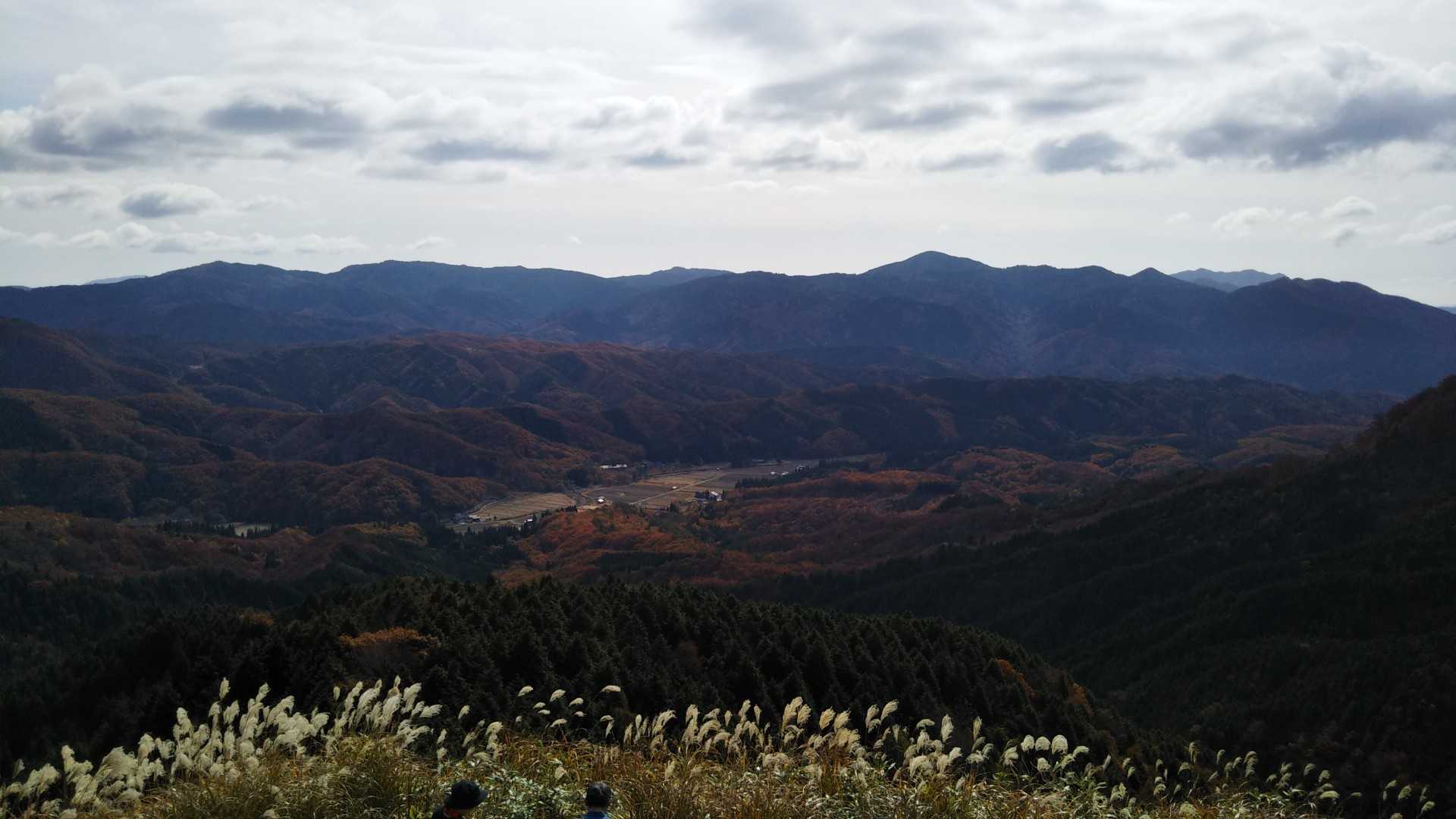 伯州山-霧ヶ原 往復コースの写真