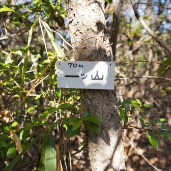 一ッ山 山頂　70m。