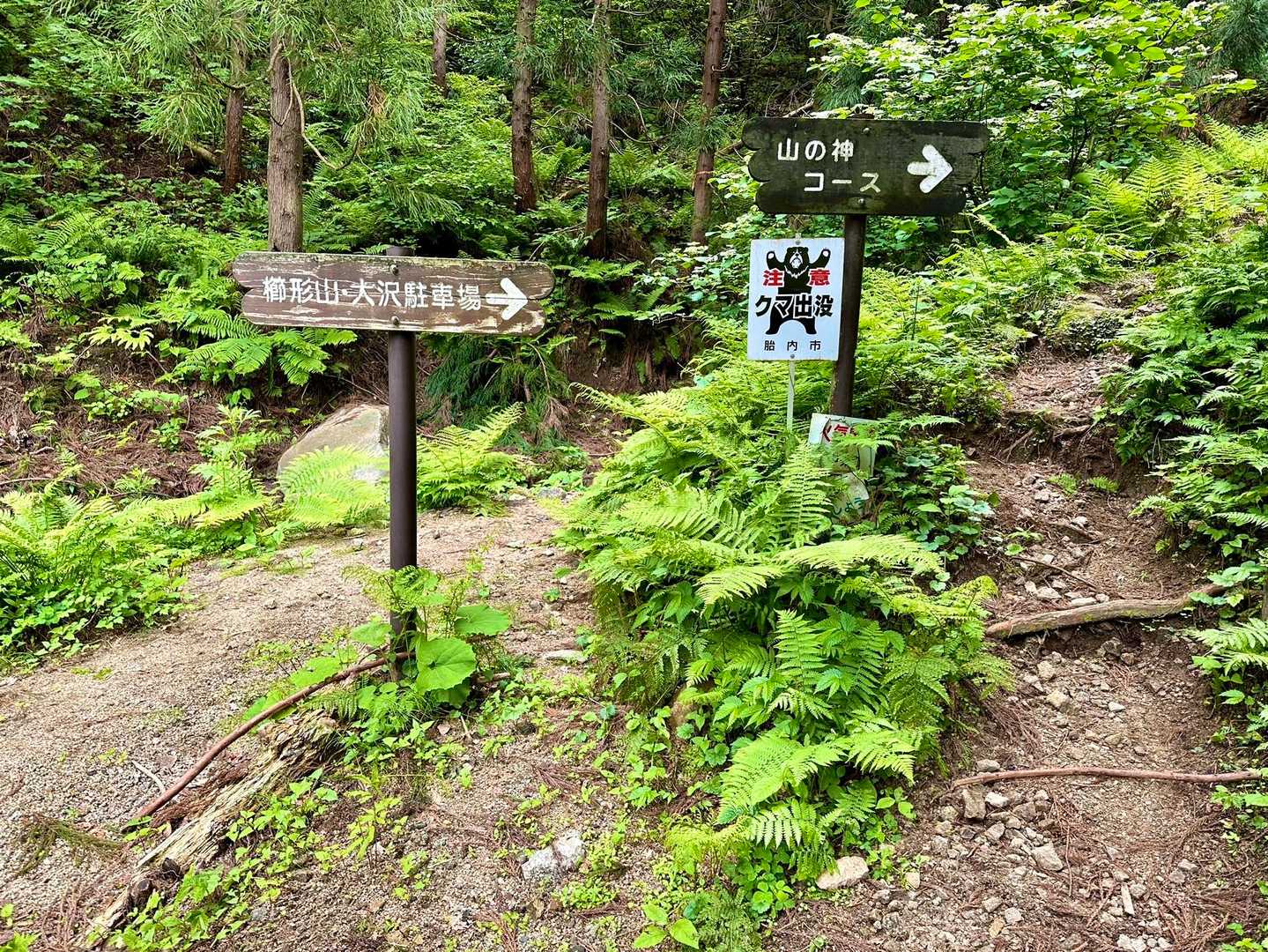 櫛形山-関沢登山口 往復コースの写真