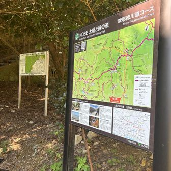 久々に東谷コース
