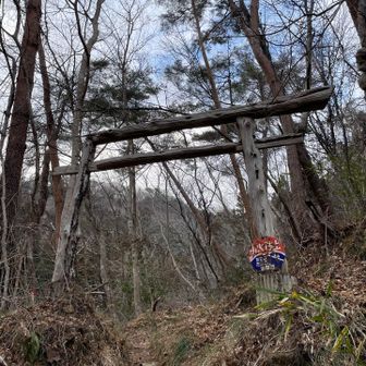 朽ちた鳥居⛩️