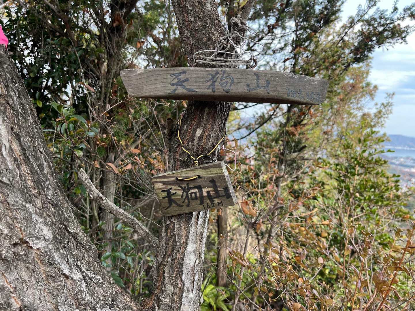 天狗山登山口-天狗山 往復コースの写真