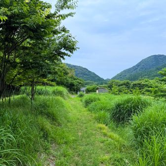 下山しました
