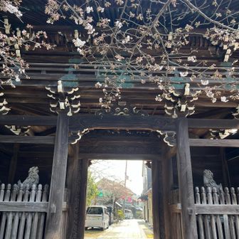 山門の裏側に狛犬がいらっしゃる🐕🐕