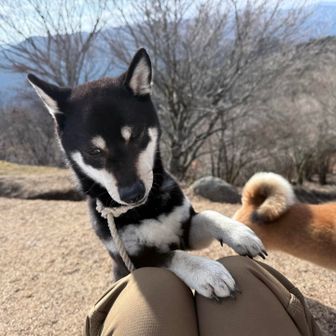 🍎や🍐、ゆで卵🥚など家から持ってきたのでおねだりが激し目