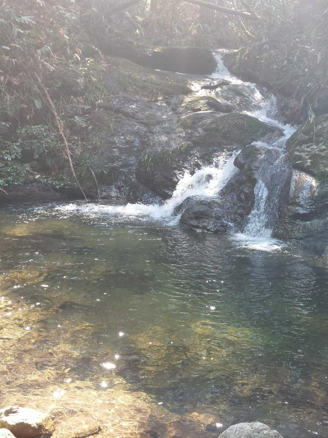 無事下山🙏
お天気続きで水量少なめ
これが通常なのかな？
今日は、タムシバがとっても綺麗でした🤍
今日もありがとうございました🤗
