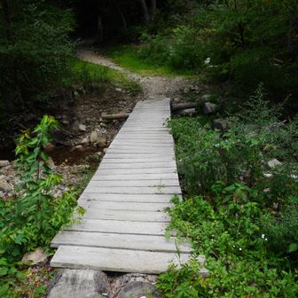 炭屋道分岐の近くまで下ってきました