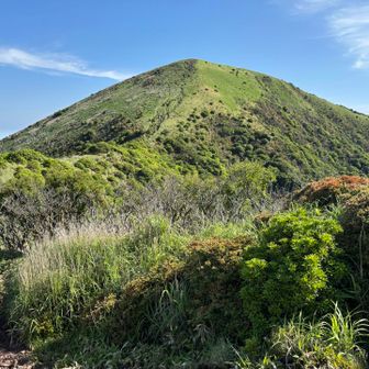 あとは、涌蓋山（わいたさん）を目指すのみ。
