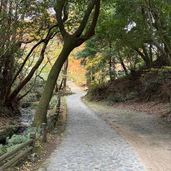 始まりは石畳の道。続くと嫌だな〜と思っていました
