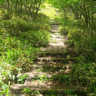 階段が多くトレーニングには役に立つ