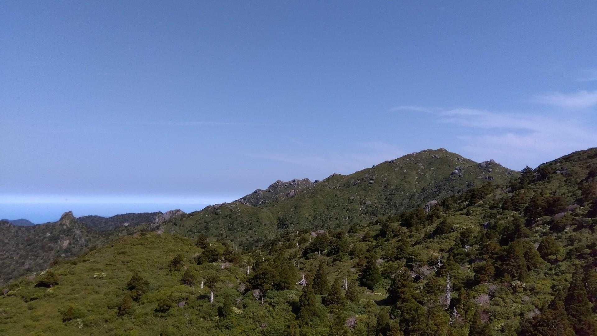 宮之浦岳往復 | 世界遺産の縄文杉の森を歩き、九州最高峰を目指す離島ハイクの写真