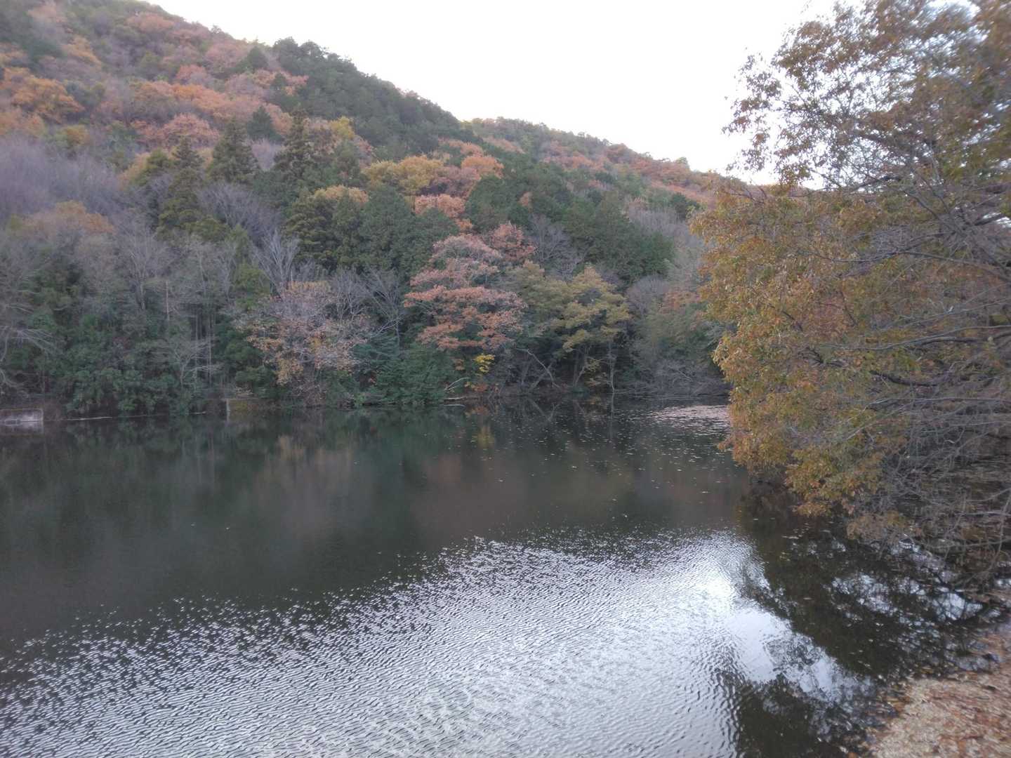 向山-須衛山-見晴台登山口 周回コースの写真