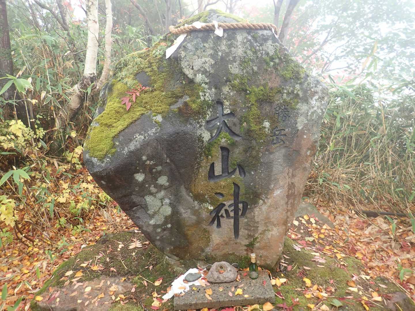 スタート地点の階段を登ってみてみると～👀初めて見ました✨
