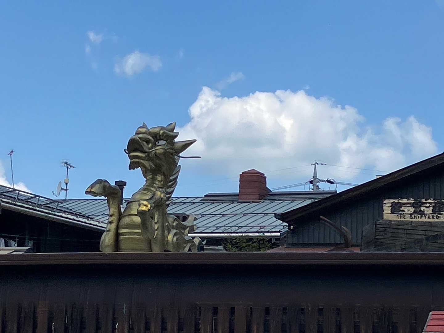 と、近づいて見ると「ドラゴン🐉】
会社から現れている！意味は⁇