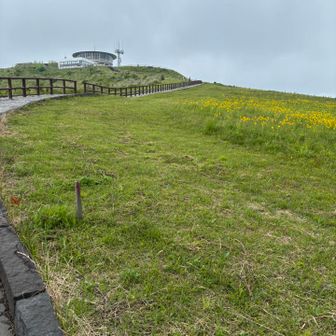 寒風山は景色が良いってレンタカーの人に言われたので急遽行ってみることに