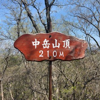 中岳に登頂🙌
ベンチあり。
木々の合間から景色が少し…。