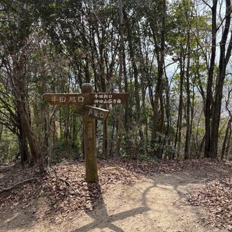 神田山荘方面通れそう