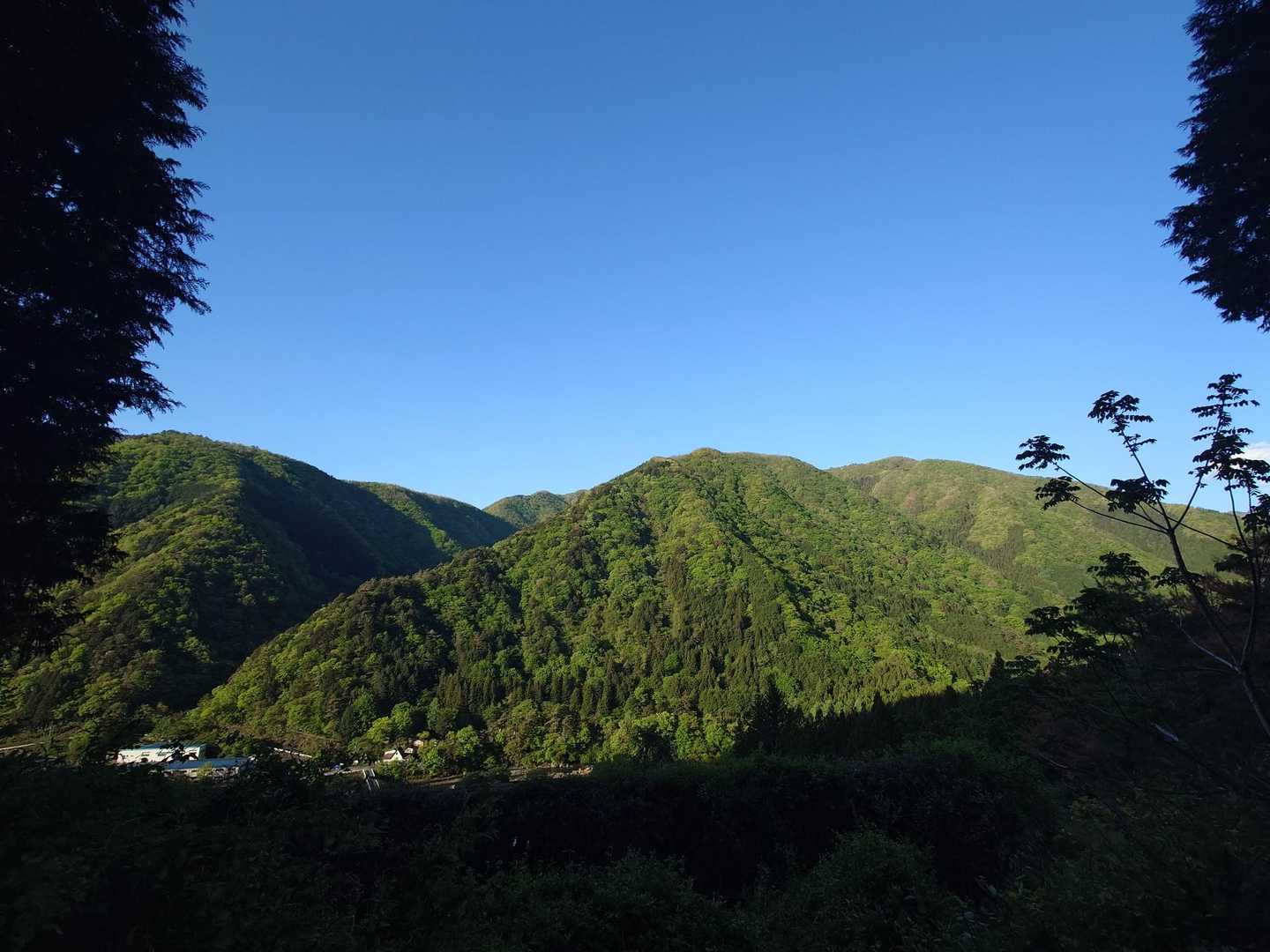 丹波役場前バス停-丹波バス停-サオラ峠-熊倉山-前飛竜-飛 周回コースの写真