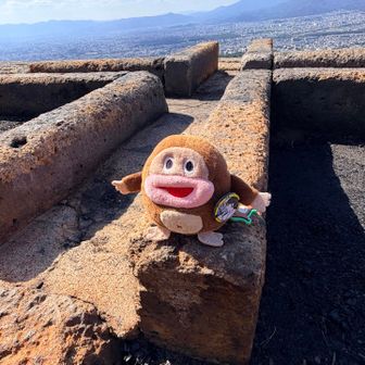 サク山🐵